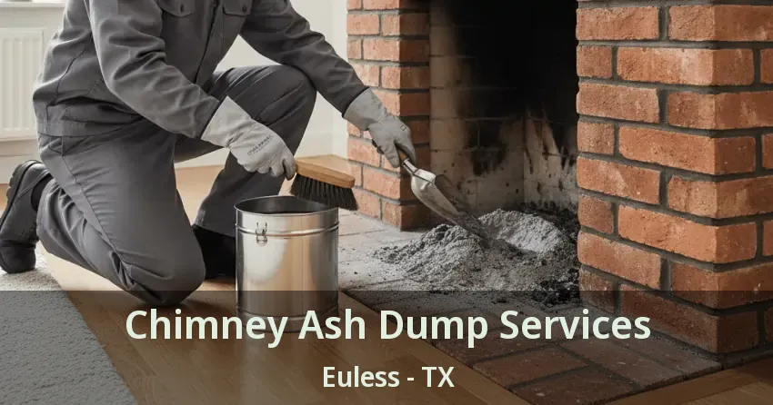 Chimney Ash Dump Services Euless - TX