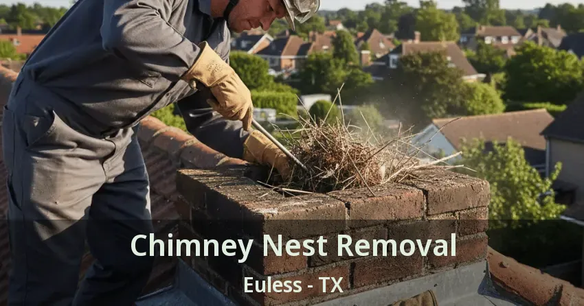 Chimney Nest Removal Euless - TX
