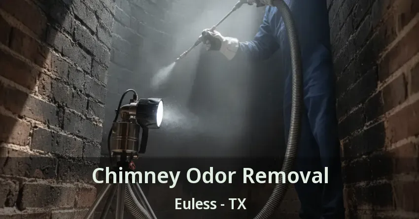 Chimney Odor Removal Euless - TX