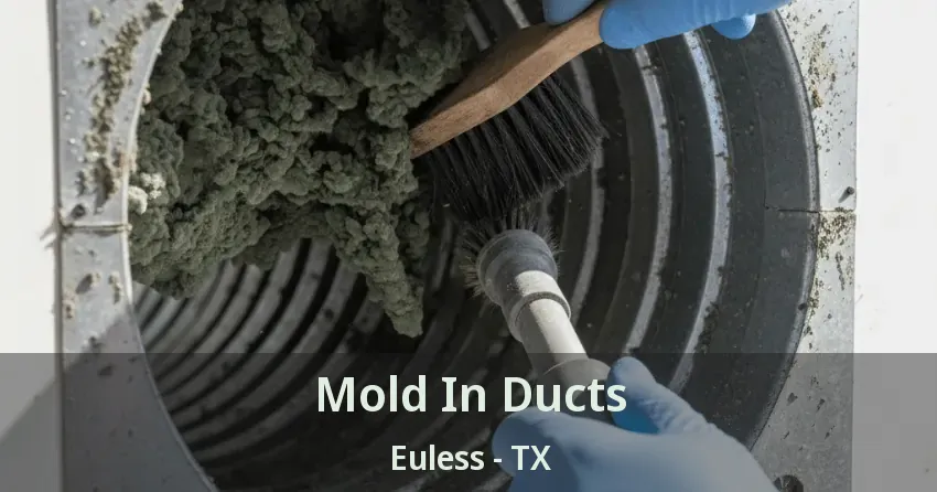 Mold In Ducts Euless - TX