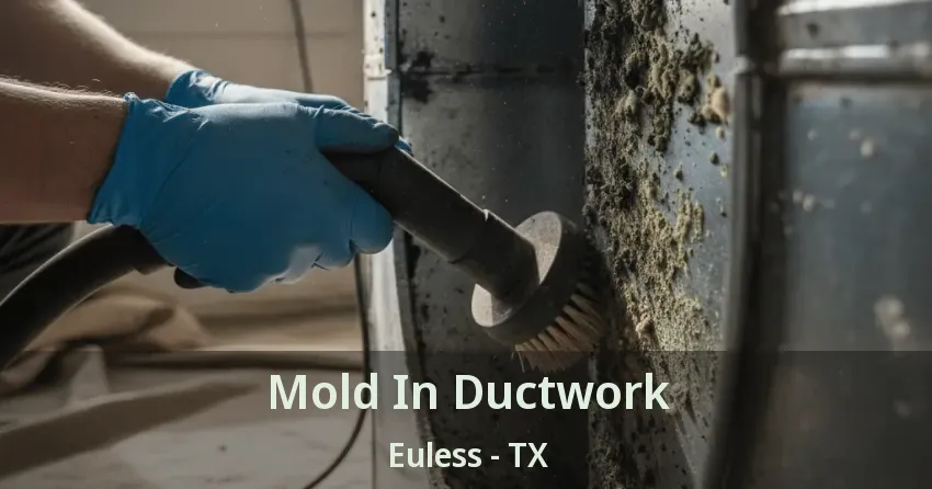 Mold In Ductwork Euless - TX