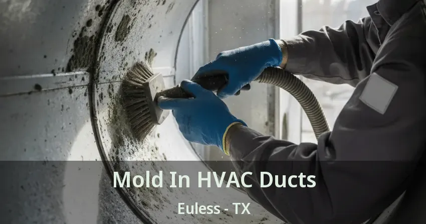 Mold In HVAC Ducts Euless - TX